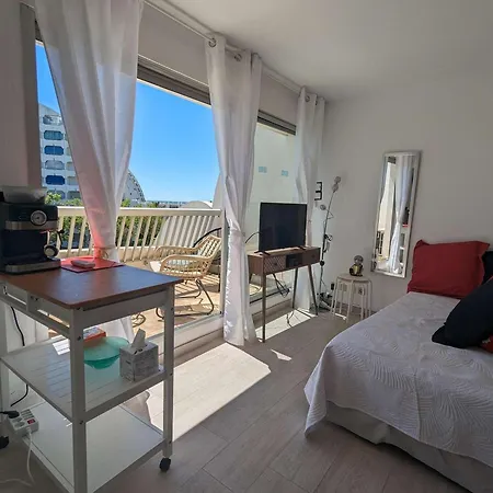 Renove Avec Piscine, Climatisation - - Fr-1-250-271 Apartment La Grande-Motte